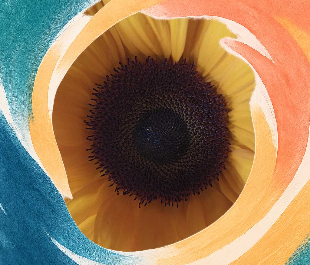 Respect Bulgaria’s history, avoid political debates, and embrace local customs. Don’t mock the language or cuisine, mind gestures, punctuality, and urban/rural differences for smooth travels!